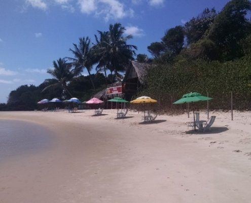 IMG_20161202_093207955