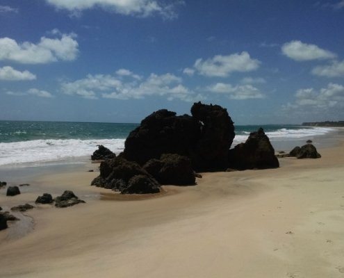 IMG_20161202_094628828