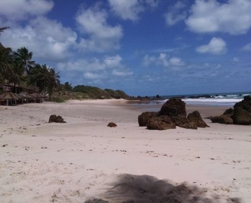 IMG_20161202_095929119