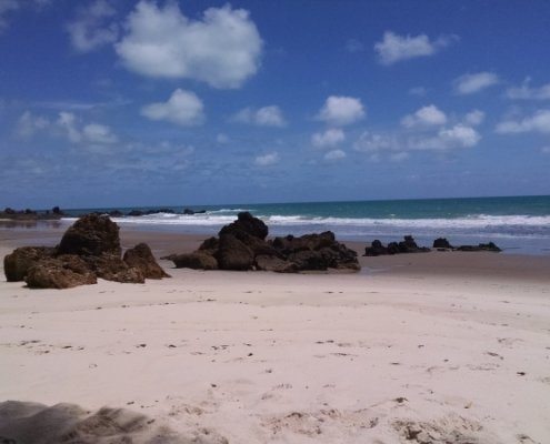 IMG_20161202_095931878