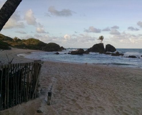 IMG_20161202_161502506