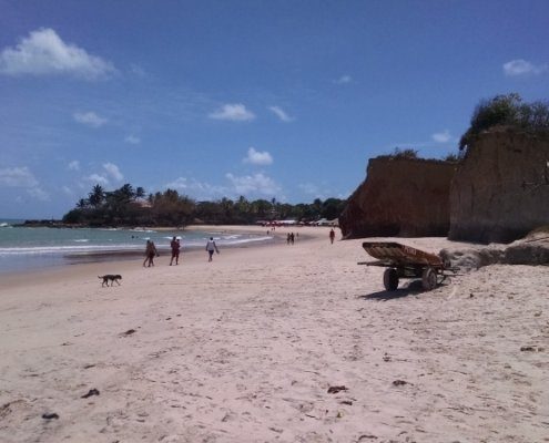 IMG_20161203_110649446