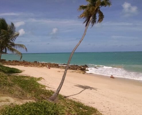 IMG_20161203_114251927