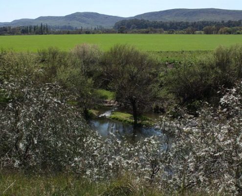 Sandulgaray_Panoramica